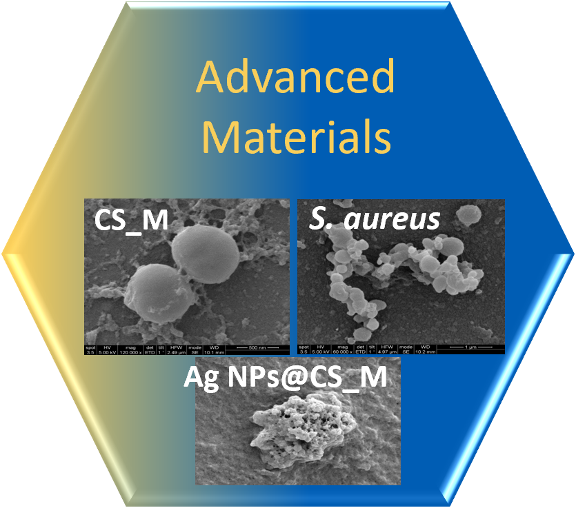 Zaawansowane materiały i nanomateriały nieorganiczne - logo