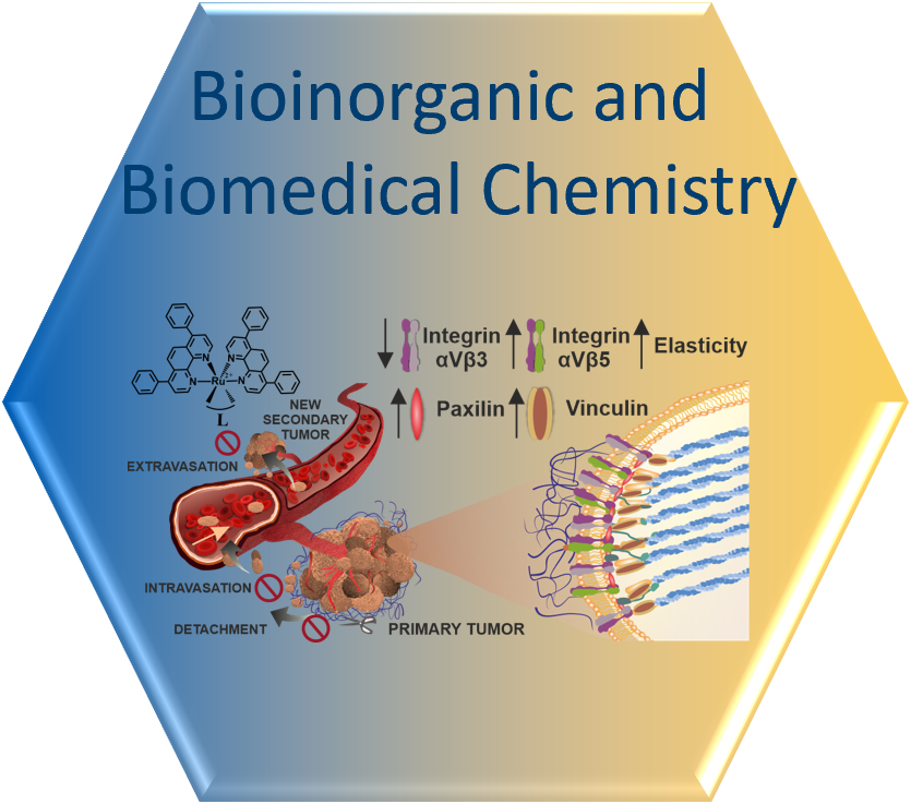 Chemia Bionieorganiczna i Biomedyczna - logo